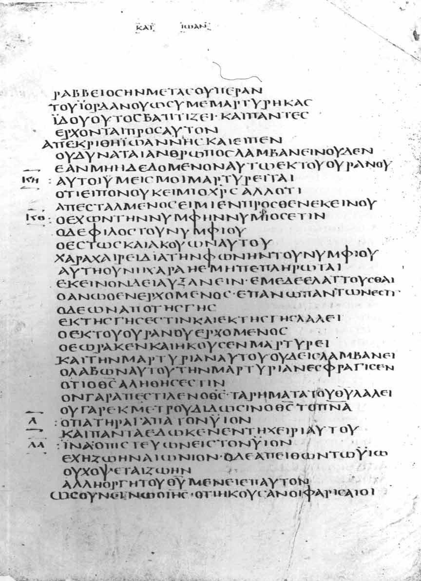 Folio 0205 of Codex Bezae showing Greek and Latin parallel gospel text in sense-line layout.